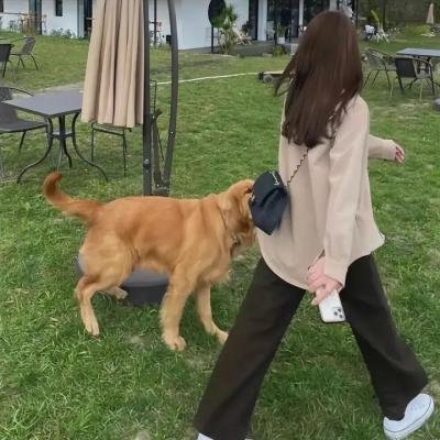 仙女座海报
